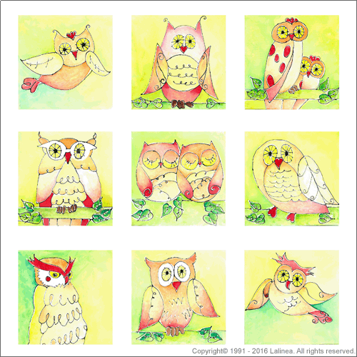 SP0462 Set for Canvas: Owls