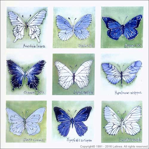 SP0459 Set for Canvas: Butterflies
